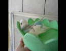 そらの専用お風呂