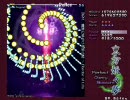 【ボム封印】東方妖々夢 Lunatic 霊夢Bで実況プレイ【下】