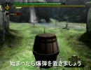 (11) 【MH3】 ゆっくりランス講座 1　vsドスジャギィ