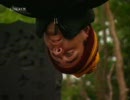 Pastewka in Japan Folge 2 Part 2