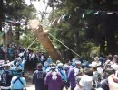 【御柱祭】下社里曳き・春宮一之御柱 春宮木落とし 其の三【一日目】