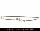 【心を】ダブルラリアットを唄ってみた【込めて】