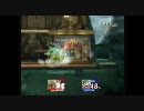 brawl+ リザードンｖｓルイージ