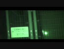 心霊 2010.04.09 青木ヶ原樹海 tm氏と東海遊歩道をお散歩 その５