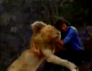 【感動】 ‐Christian The Lion‐ 日本語版 【胸に響く】