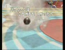 マイナーや中堅、変態型などいろいろつかいながらバトレボ　part9