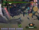【MHF】ダイミョウザザミ 近接武器希少種【ソロ】