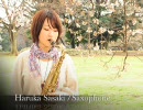 夜長オーケストラ　Haruka Sasaki001