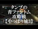 タンブの青ファントム攻略戦【やっぱり城3】