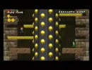 あゆみんとエツコののんきにプレイ part22【NewスーパーマリオWii】