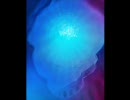 【ゲームBGM】Seabed World【オリジナル曲】