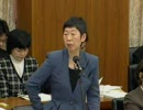 2010/04/23_衆院内閣委員会_大泉ひろこ(菩薩)(民主党・無所属クラブ)1