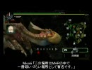 【MHP】ランスでゆっくり実況プレイ(カーナビ付き)_part7【会長捕獲計画】