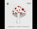 Mushroom - The Liathdan(1973)