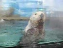 水族館動画