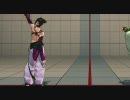 スーパーストリートファイターⅣ追加キャラアピール集 英語版