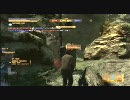 MGO　酒好きが盾もってがんばってみる　2
