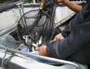 鮎の放流　長瀬太郎生川　2010.5.15