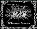 気のみ気のままバトルスピリッツしてみた　２５