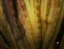 【徒然実況】かまいたちの夜2煉獄を暇な主婦がやってみる part.8