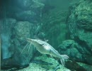 水族館ツーリング 足柄忘れ物編