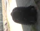 坪内くんの爆弾衝撃発言　part3