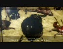 【実況】暇なリア充がやるニーアレプリカント part14-2【砂漠の狼】
