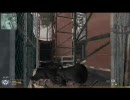 ダメスナイパーがやるCoD:MW2