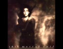 This Mortal Coil - Holocaust