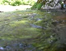 渓流水中動画14