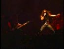 Dragonforce - Storming The Burning Fields[Live in TOKYO]