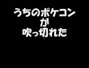 うちのポケコンが吹っ切れた