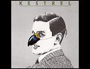 Kestrel - The Acrobat
