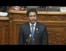 2010/5/26参院本会議・松下 新平（自民）-口蹄疫政府責任を糾す！