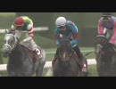 【競馬】 2010 東海ステークス シルクメビウス 【ちょっと盛り】