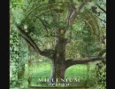 [プログレ辺境地シリーズ] MILLENIUM/deja vu [ポーランド篇⑲]