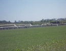 Prix D'ispahan 2010 Goldikova