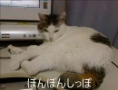 【巡音ルカ】 「ぼんぼんしっぽ」 【オリジナル】