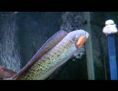 続・穴掘り