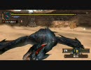 【MHP2G】片手剣で全裸実況2010【村最終】モンスターハンター後編