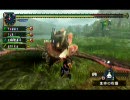 MHP2G実況 狩りぬんてぃうす ～13ぬんてぃ～ 【カオス１】