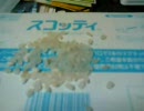 【テニミュ】風林火山を一人で歌ってみたby ofこん
