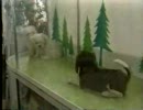古舘伊知郎犬プロレス実況