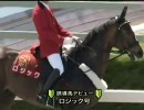 ロジック 誘導馬デビュー