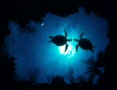 【Ambient】Underwater Moon