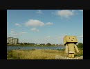 [・△・] ダンボーと河原
