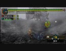 【MHP2G】第九回 俺がハンターだっ！！　灰の龍の背に乗って　後半