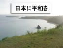 バカ左翼の作った動画
