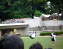 2010東京優駿のレース後の回顧イベントで内田博幸のトーク&バック転2回