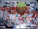 カエルが盛り上げるヴァイスシュヴァルツA's　♯1　前編